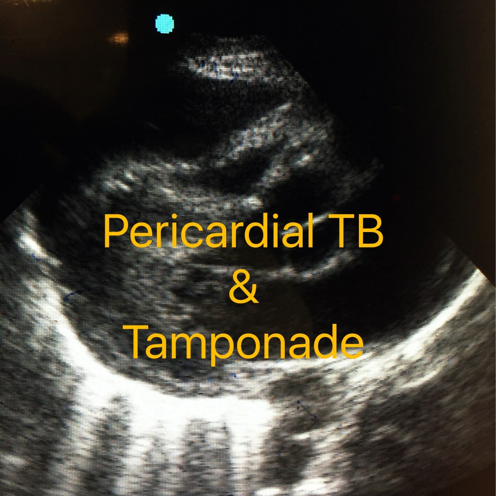 Hennepin Ultrasound tweet media