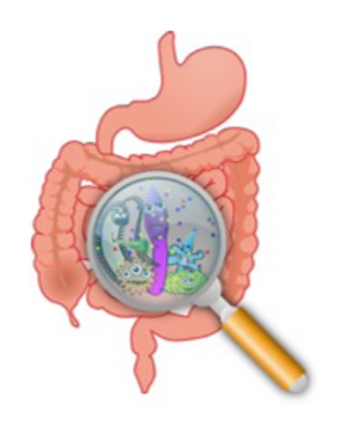 connected_child's tweet image. Gut Bacteria Affect Kid’s Behaviour - connectedchild.net/gut-bacteria-a…