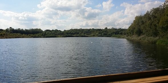 Why not get out and explore #water in the environment this weekend #valuewater <a href="/thameswater/">Thames Water 💧</a> Kepton Nature Reserve buff.ly/2o9QwCc