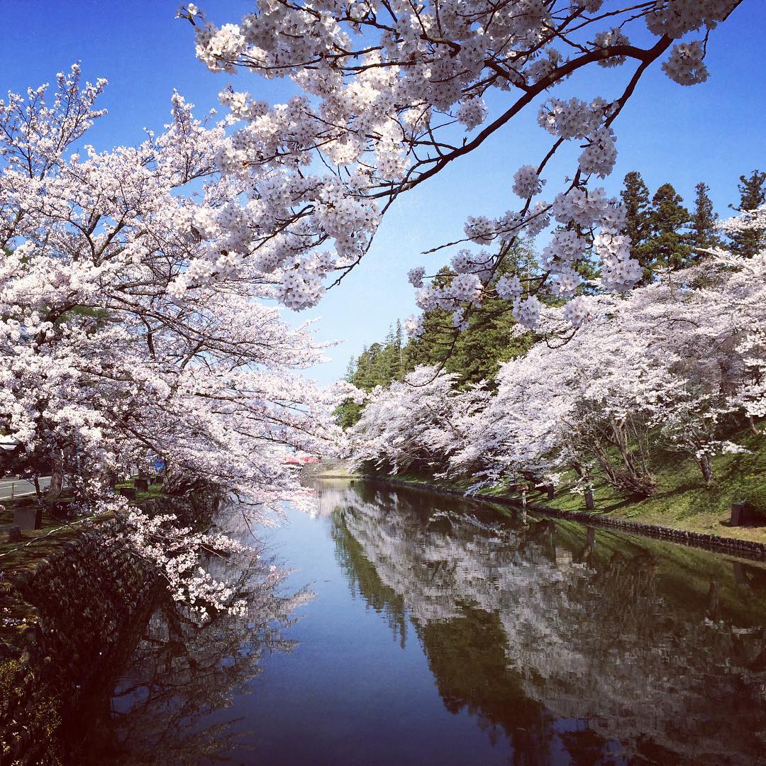 欧風酒場diningえん まもなく米沢も桜開花ですね 桜咲いてるのは去年のですが 本当に綺麗なんです 米沢の上杉神社 ぜひ観光などで遊びにいらしてください そして食事や飲みに行くときはぜひ当店へ T Co Ufbqvli6ve 桜 上杉神社 米沢 欧風酒場diningえん まもなく米沢も桜開花ですね 桜咲いてるのは去年のですが 本当に綺麗なんです 米沢の上杉神社 ぜひ観光などで遊びにいらしてください そして食事や飲みに行くときはぜひ当店へ T Co Ufbqvli6ve 桜 上杉神社 米沢