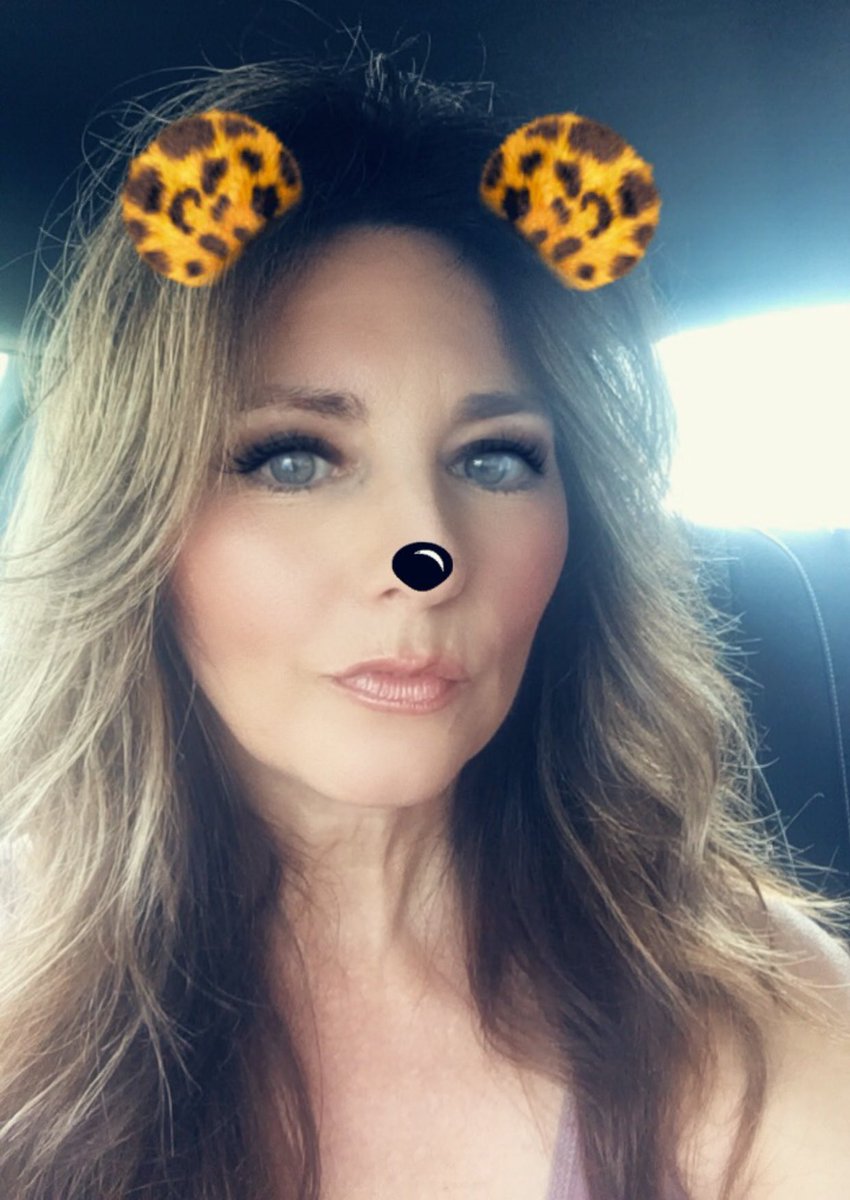 CKElevates's tweet image. 