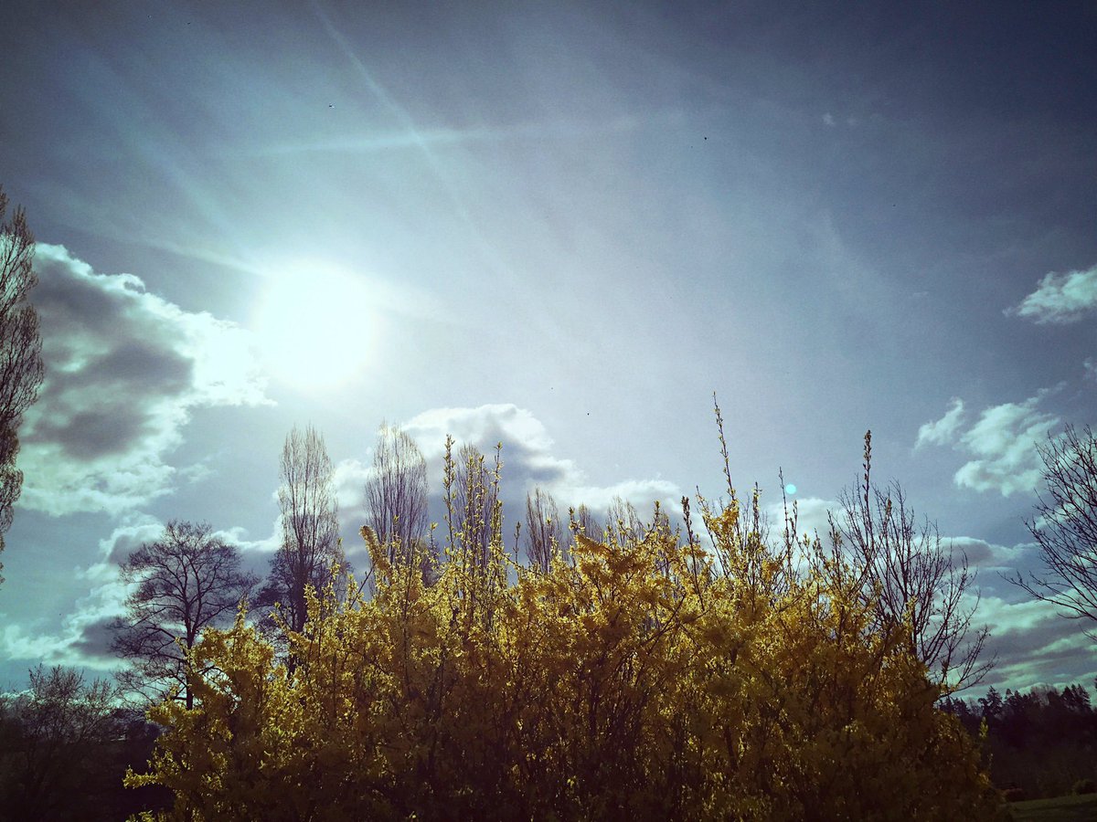 passion_isa's tweet photo. Adopt The Pace Of Nature 
Her Secret Is Patience ❣️

#Photographie #Sun #Sky #Clouds   #Passion #Flowers #MyEyesLove 

Blessyia ❣️ https://t.co/XE7zCrvR9p