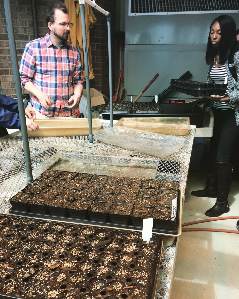 noe_delasancha's tweet photo. Great event planting seeds literally for #ecology -milkweed for #monarch @CSU_SSTEM @CSUBioSociety thanks @MarshMaiden @FieldMuseum https://t.co/cI15rEuCJo