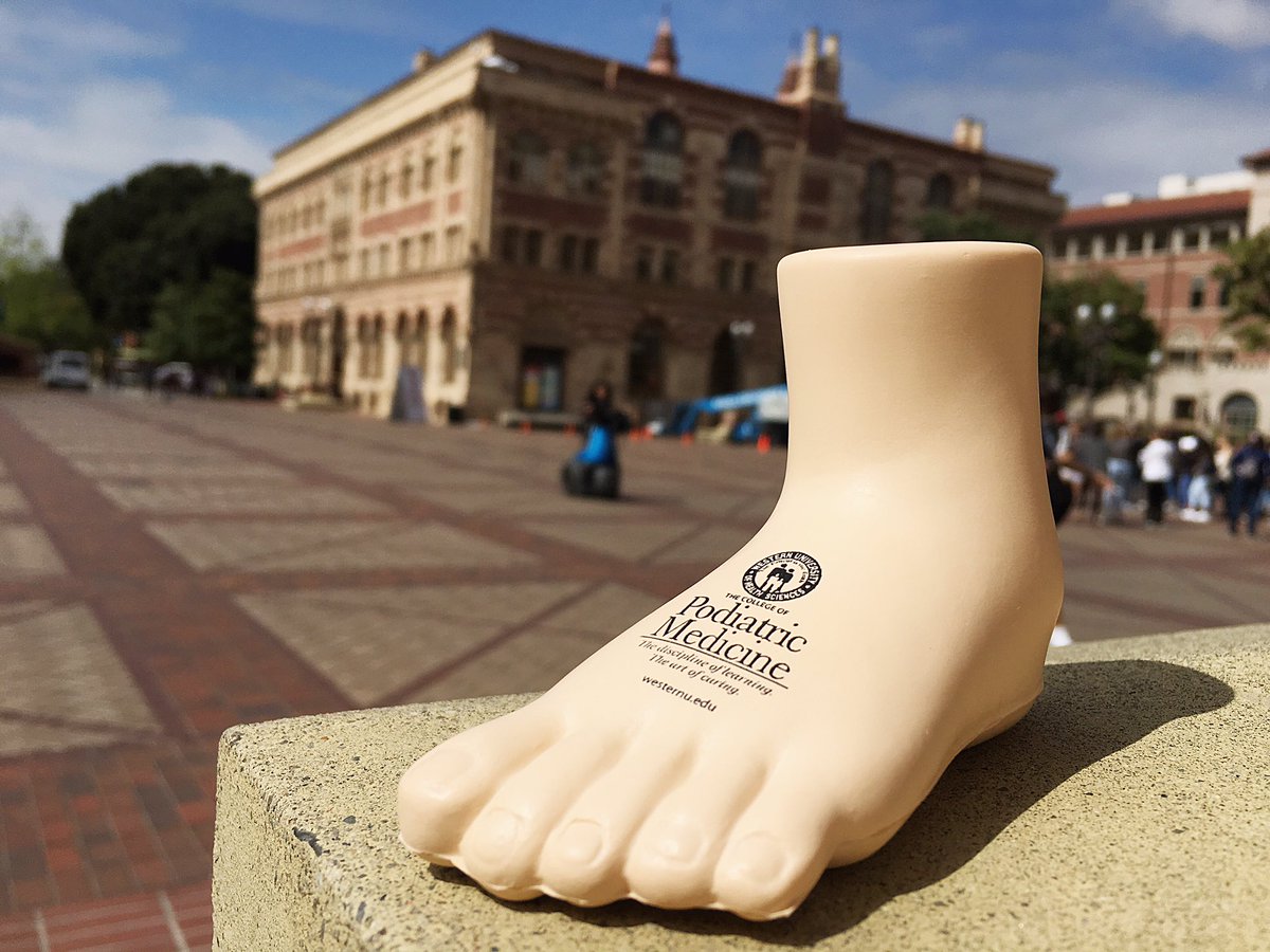 WesternU_DPM's tweet photo. The #TravelingFoot landed at USC for their annual HP Fair today! ✌🏼 #WesternUway https://t.co/LRDYSc5Dr8