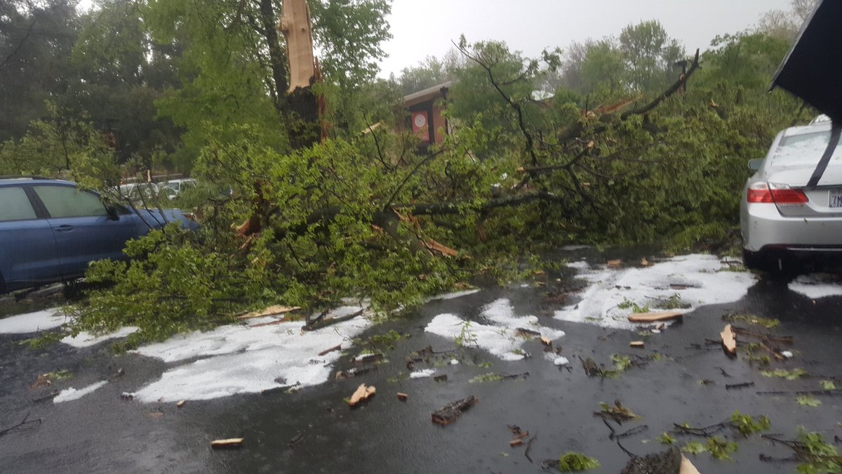 norcalbiostat's tweet photo. Lightning strike at Bidwell Mansion took out a tree. #carstoast #peoplesafe https://t.co/iRkWpkyLku