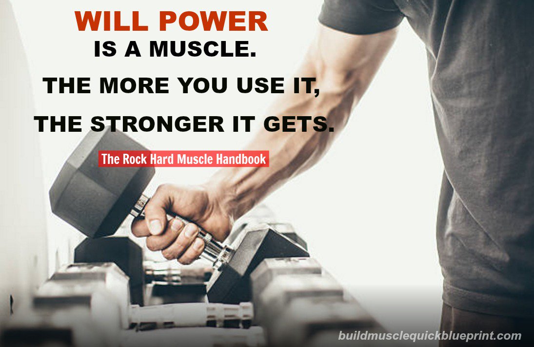FernandoCampuz2's tweet photo. "Build muscle, motivate yourself to exercise!"
 #fitness #fitfam #gymtime  #weightloss #MakeYourOwnLane #defstar5 #mpgvip #ThursdayThought https://t.co/CxAjWrEXHd
