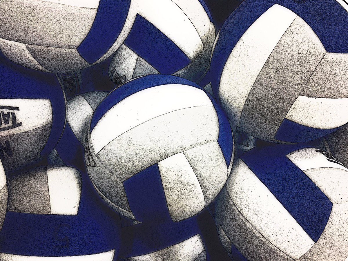 NMStallionVBall's tweet photo. Another successful open gym,25 young girls working to get better! #growingpains#growinggains #nmhsvbπ https://t.co/hAcgfhTl9Y