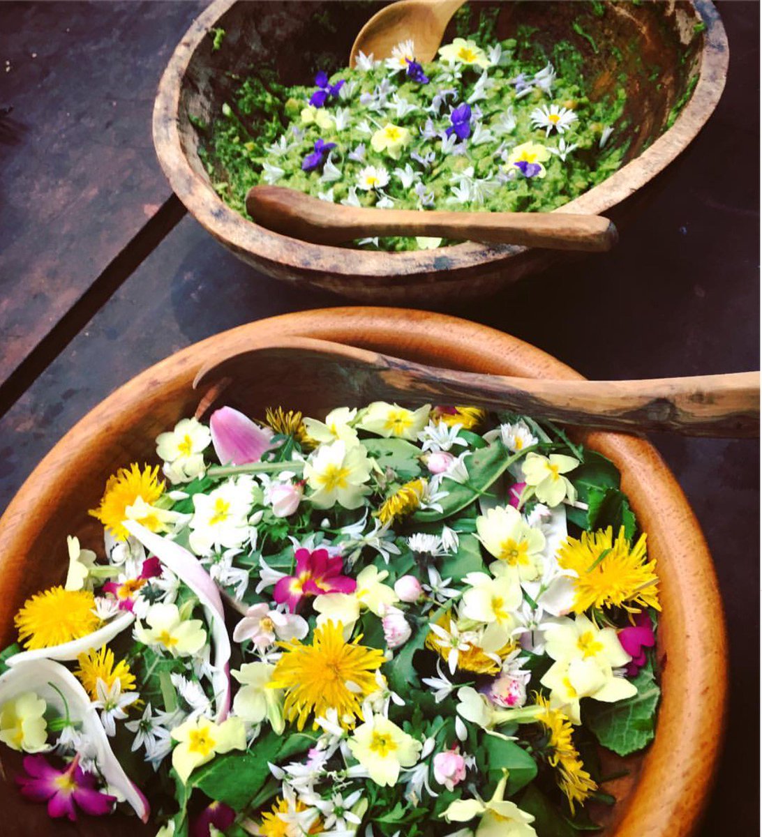A wild green hummus &amp; a beautiful wild spring salad that tastes of spring both made by lovely participants on the family forage day today.