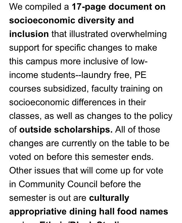 Further information on the co-chair position and community councils current agenda