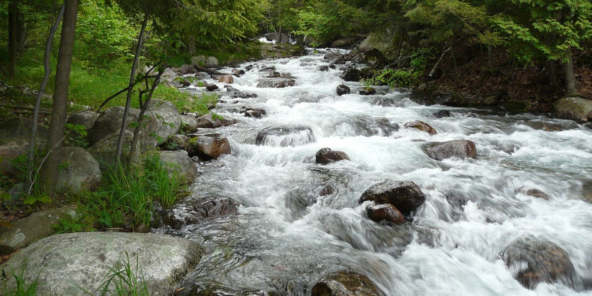 " Looking for latest info on #local water levels this long weekend? Find it: bit.ly/2lP2UIE
