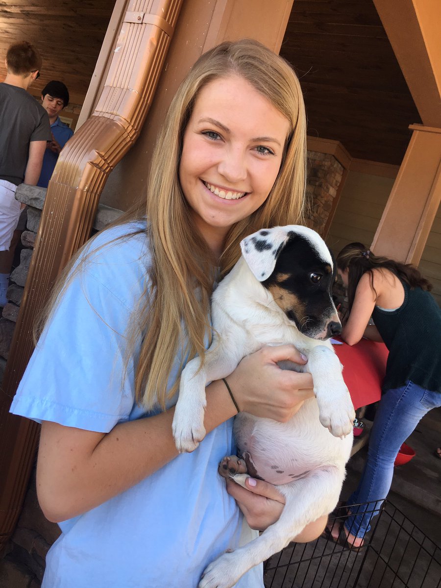 maryymorgan's tweet photo. #PicAPike #Pikesforpets2017 https://t.co/xzNNUianv0