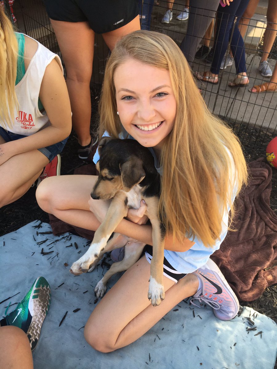 maryymorgan's tweet photo. #Pikesforpets2017 #PicAPike https://t.co/MlGfLfQizu