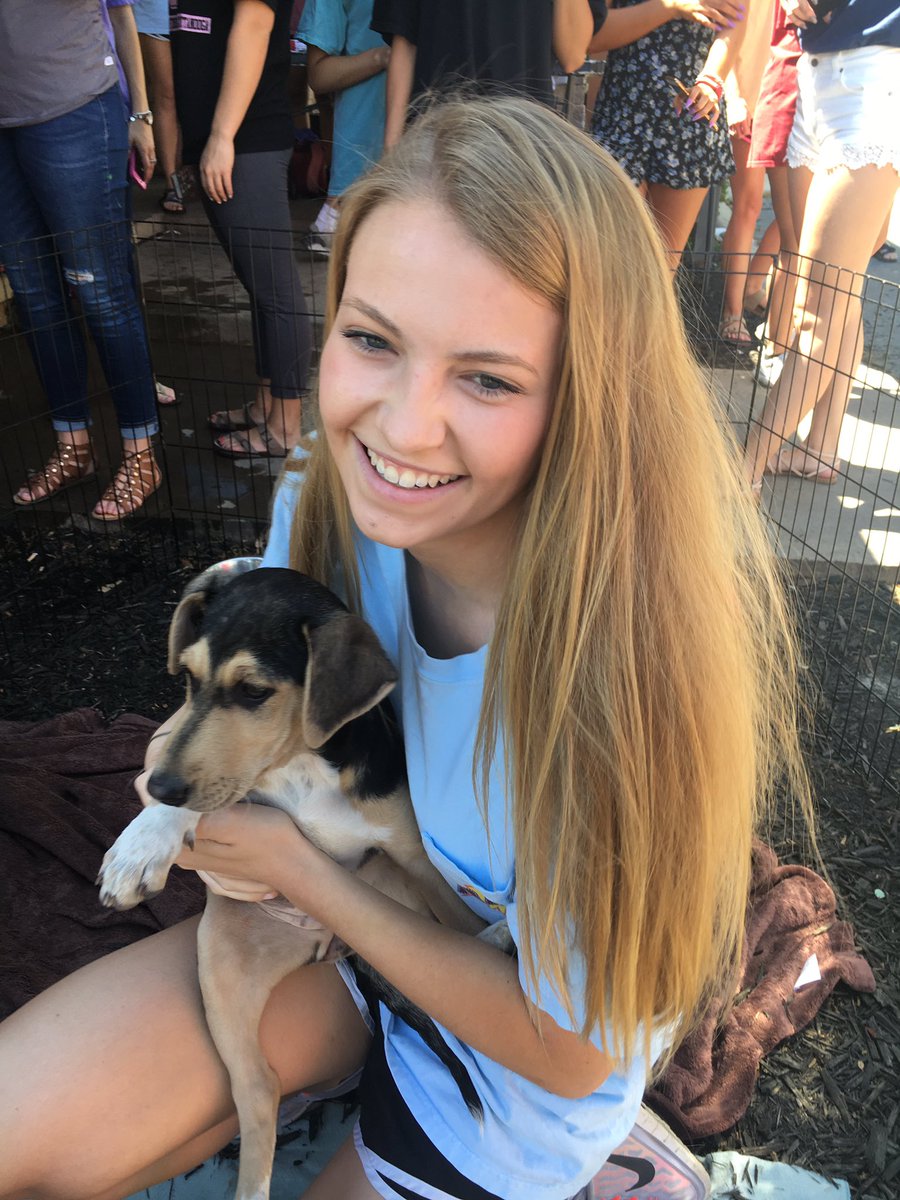 maryymorgan's tweet photo. #Pikesforpets2017 #PicAPike https://t.co/MlGfLfQizu