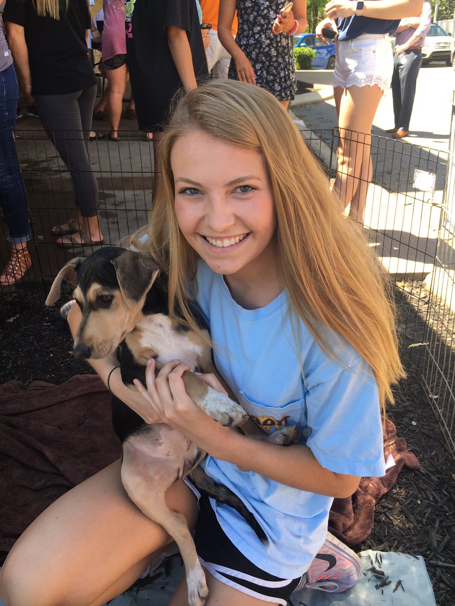 maryymorgan's tweet photo. #Pikesforpets2017 #PicAPike https://t.co/Vh4jckuWWu