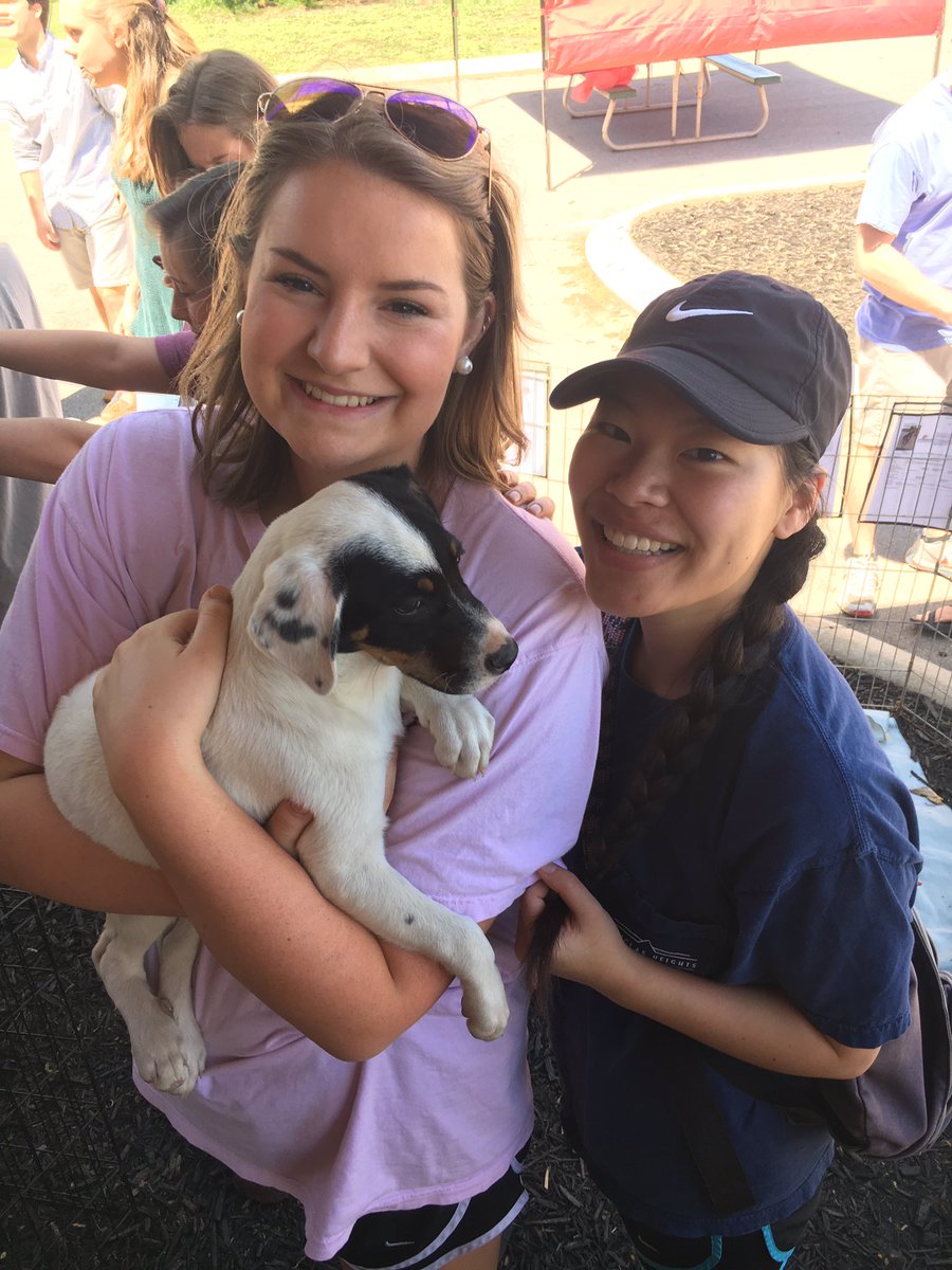 maryymorgan's tweet photo. #Pikesforpets2017 #PicAPike https://t.co/7e4qjc8QMm