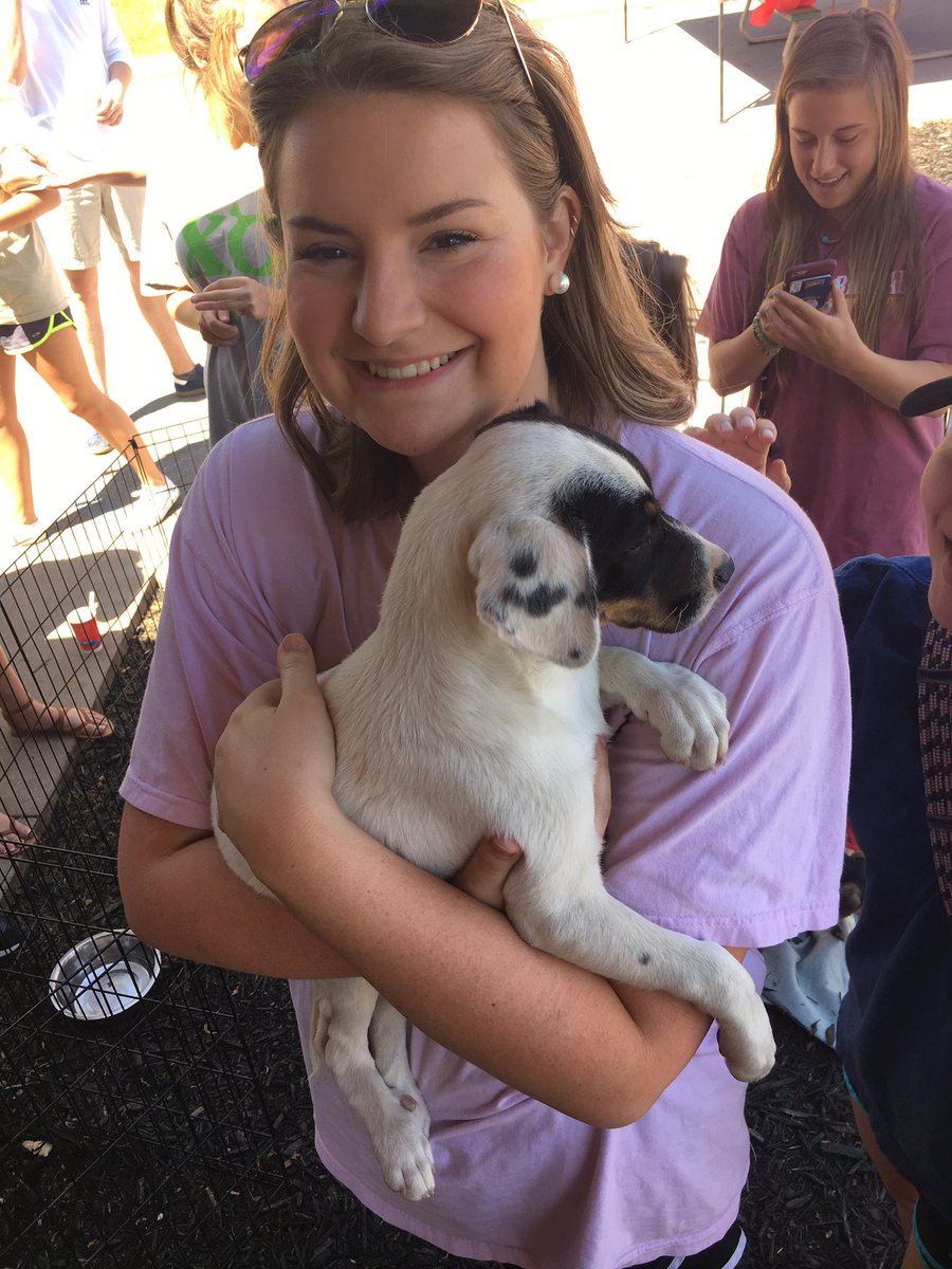 maryymorgan's tweet photo. #Pikesforpets2017 #PicAPike https://t.co/kul9WCC8RV