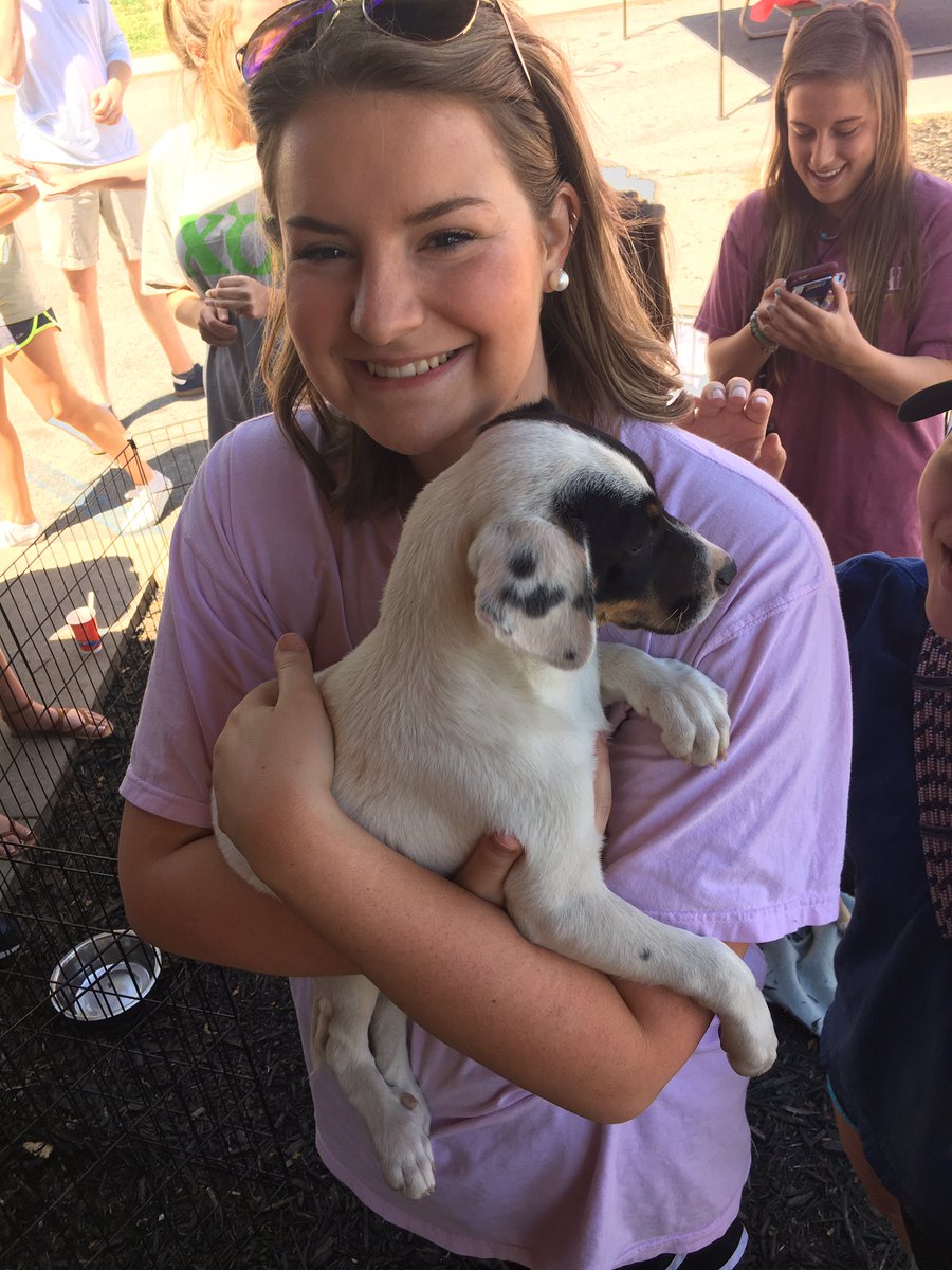 maryymorgan's tweet photo. #Pikesforpets2017 #PicAPike https://t.co/kul9WCC8RV