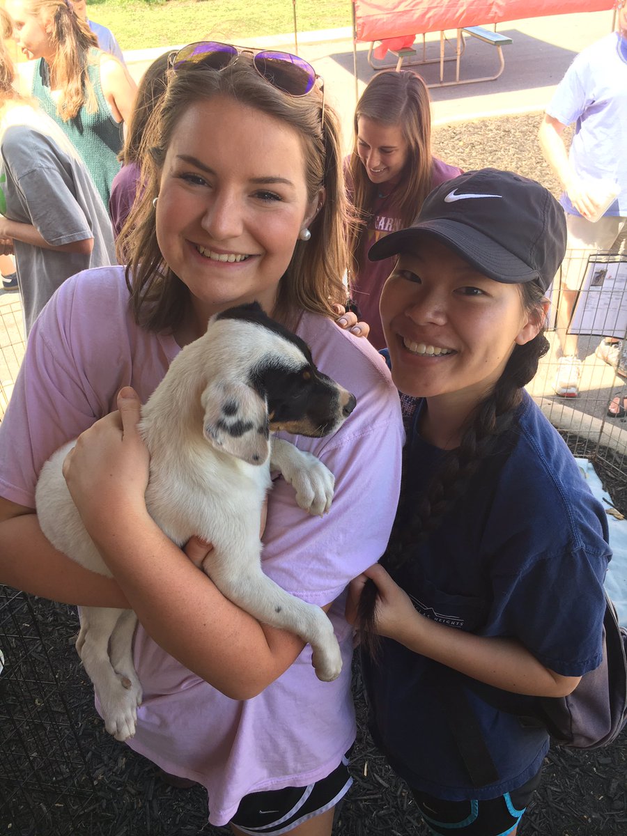 maryymorgan's tweet photo. #Pikesforpets2017 #PicAPike https://t.co/kul9WCC8RV