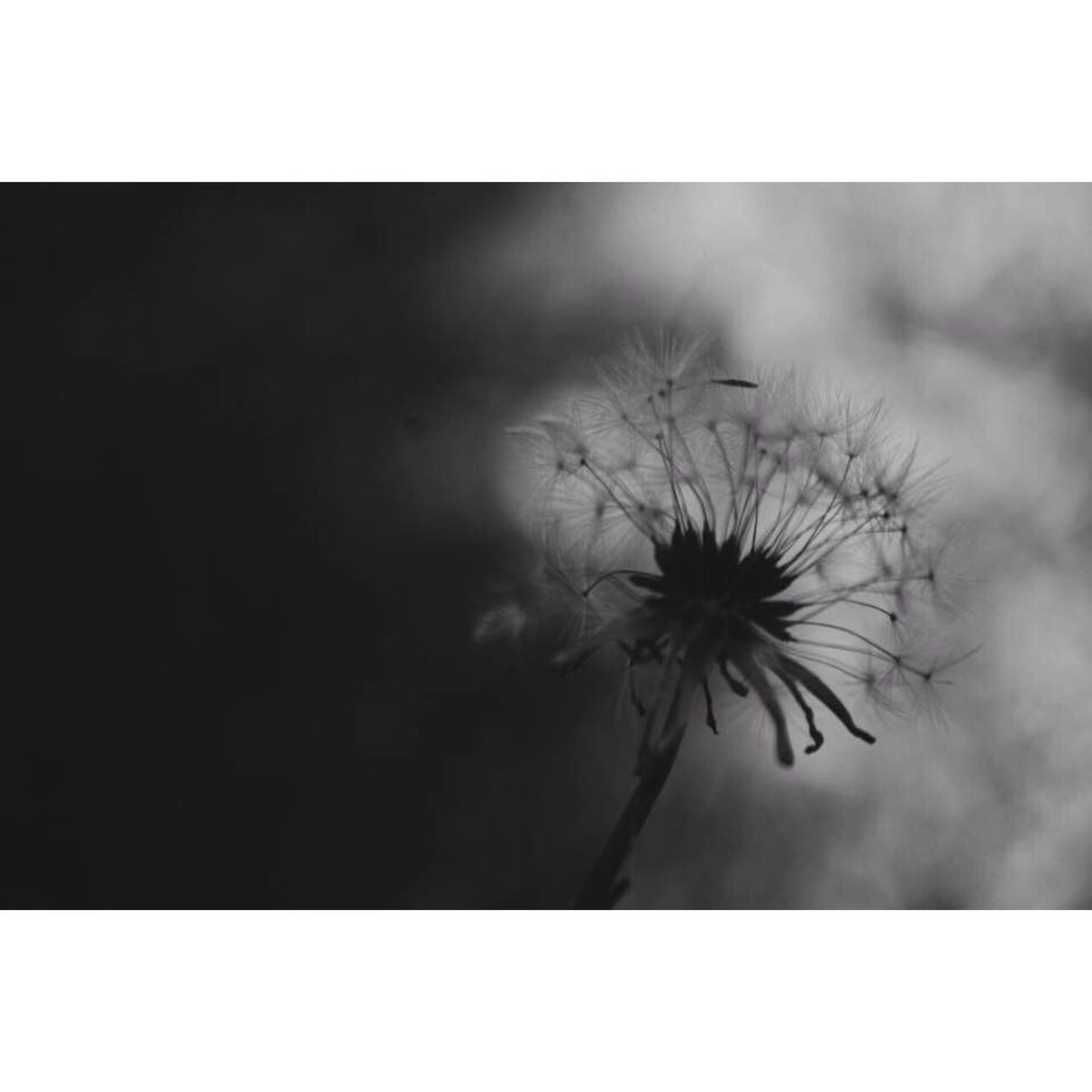 Almighty_Wel's tweet image. #2014Collection