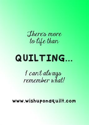 There's more to life than QUILTING... I can't always remember what! buff.ly/2oaz809