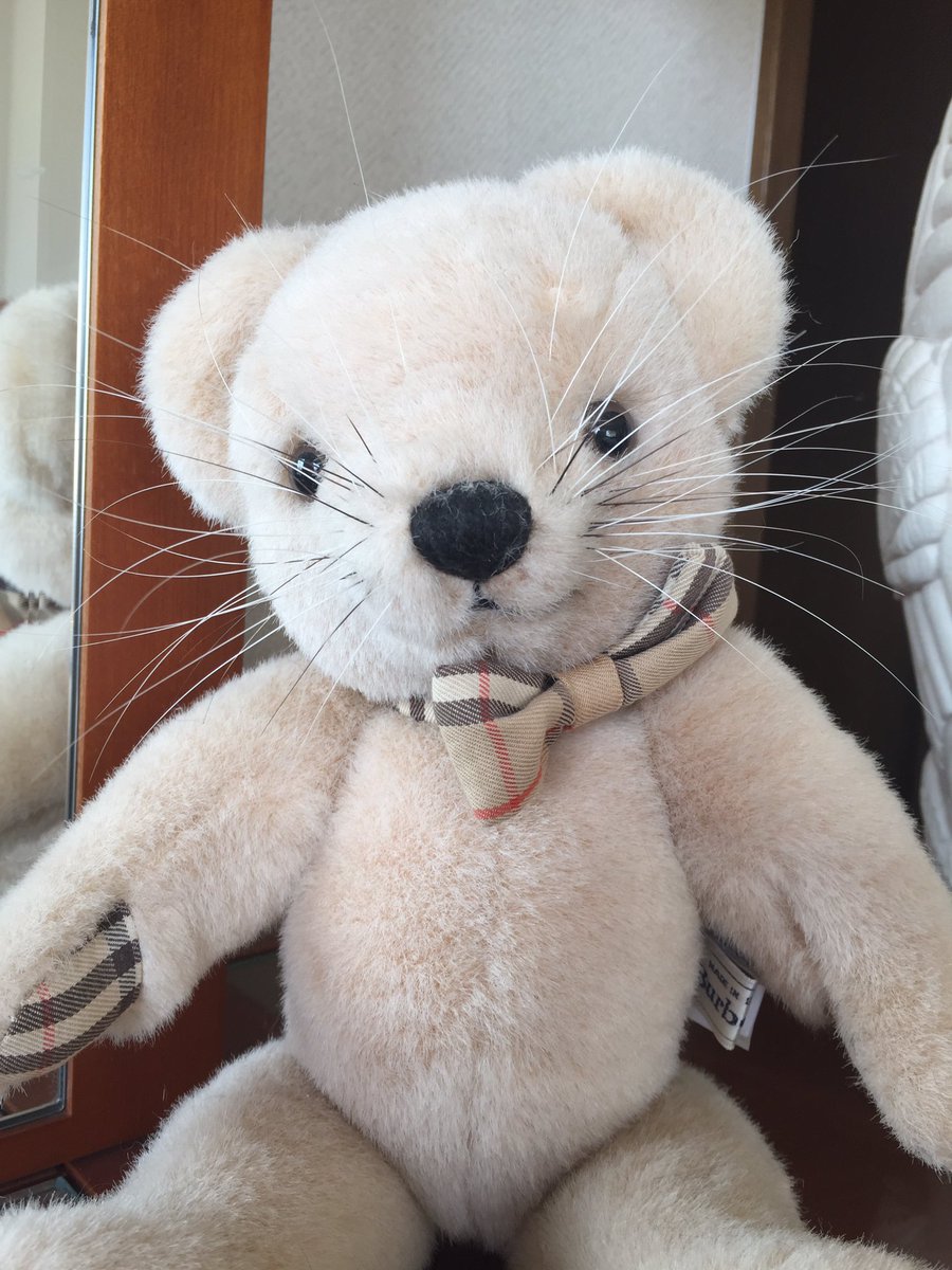 うずら 我が家の熊のぬいぐるみは猫の抜けヒゲ保管場所になってる こいつ もうちょいで魂宿りそうやな