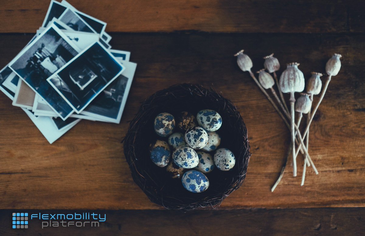 flexmobility's tweet photo. #3mobilitysolutions &amp; #flexmobility wünschen allen ein Frohes Osterfest! https://t.co/6GYG6F4Y1R