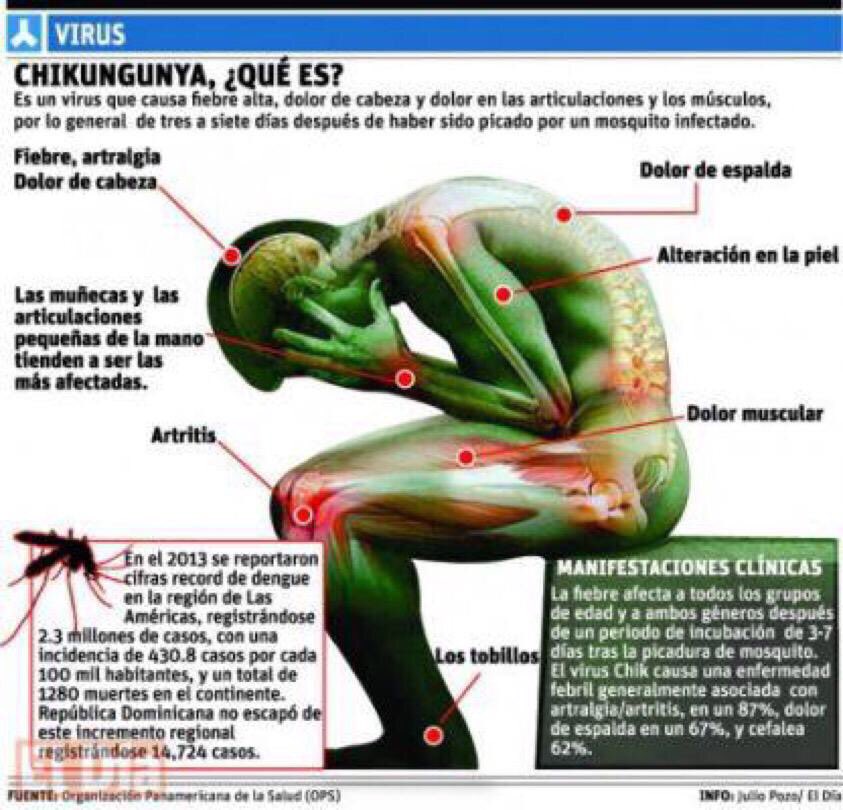 mencardio's tweet photo. Chikungunya Myocarditis ACC Venezuela Chapter  https://t.co/pNzR59FpgH @ivanovich13 @torresviera @igormorr @vfinizola @ernestocardio @meza02 https://t.co/7P6ryTjN6A