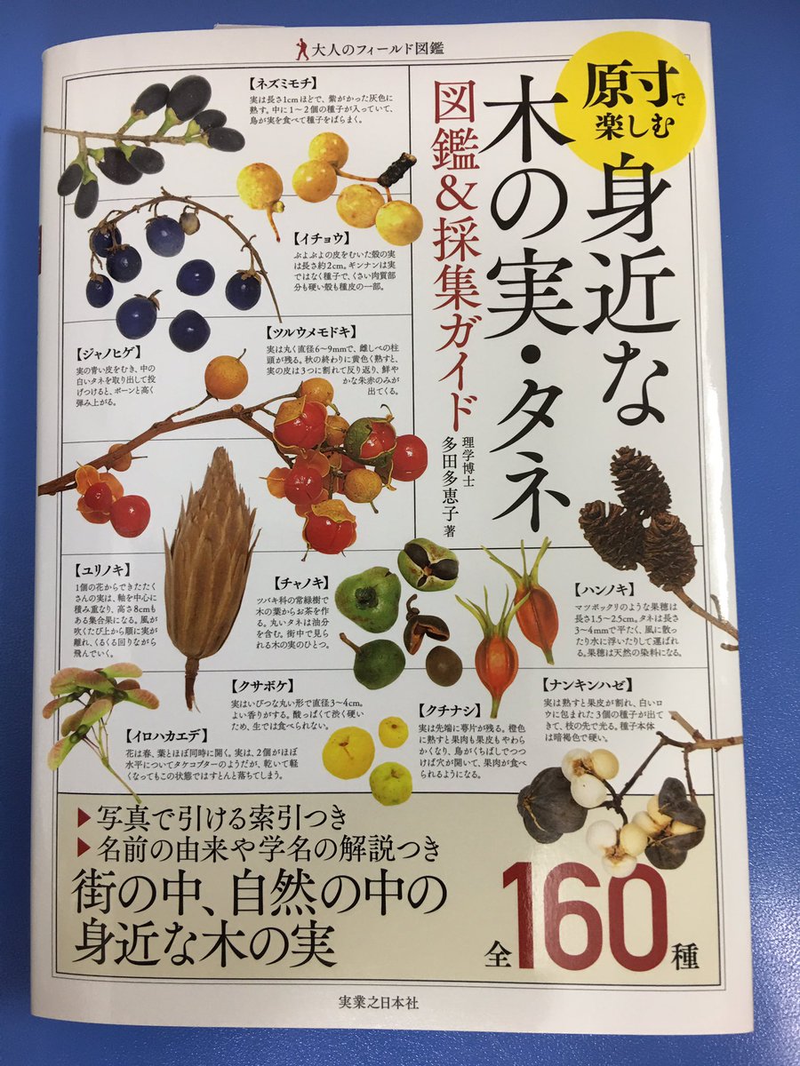 アマノ書店三方原店 Twitter પર 原寸で楽しむ 身近な木の実 タネ 図鑑 採集ガイド 多田多恵子 著 実業之日本社 写真で引ける索引つき 名前の由来や学名の解説つき 街の中 自然の中の身近な木の実