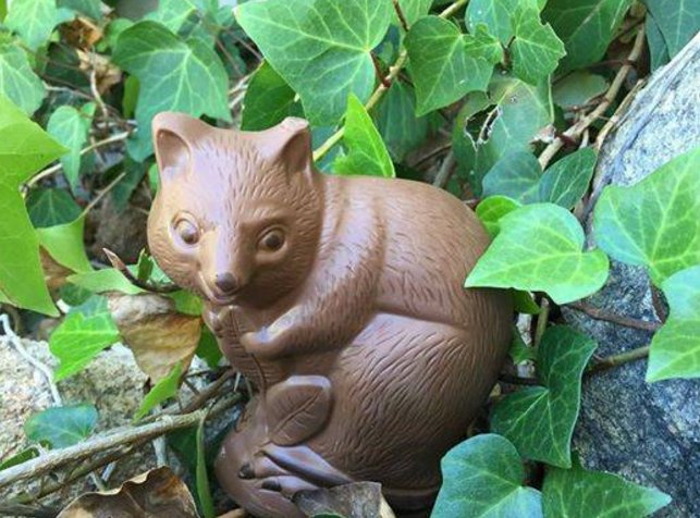 Easter #quokka is a unique egg-ternative <a href="/MRChocFactory/">Chocolate Factory</a> margaretrivermail.com.au/story/4575821/… via <a href="/AMR_Mail/">Margaret River Mail</a>