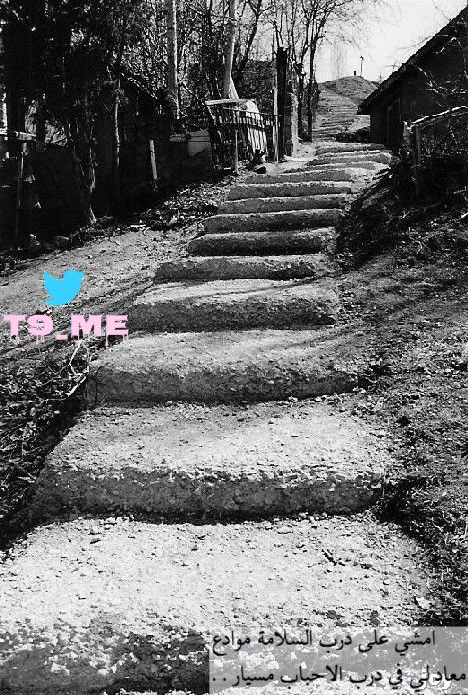 #حااجه_في_النفس_  ماعاد لي💛!..