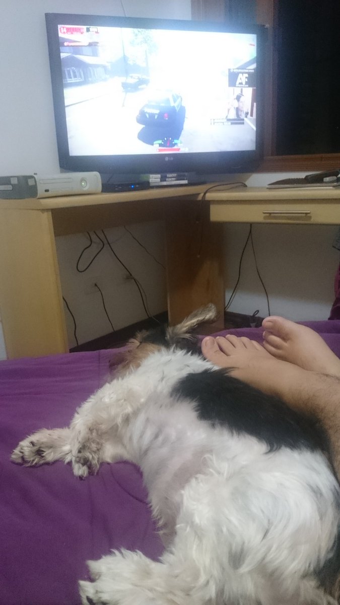 danielkbca's tweet image. Esperando uma Win da @suribh_ nóis tá como?