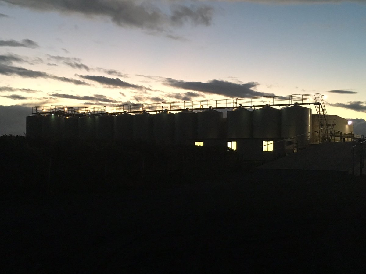 A sight to behold on way home tonight, the winery under darkness as night shift begins #vintage2017 #nelsonshines