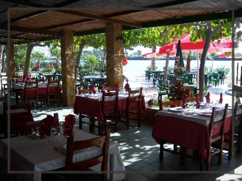 On menjar a prop al #delta?Et recomanem  Restaurant Tramontano. Adreça: Pas de Barques, s/n Illa de Buda.. goo.gl/2TGLiK