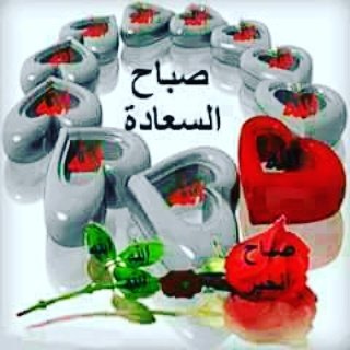 حسون الوحداني (@9dormibzcuswehi) on Twitter photo 