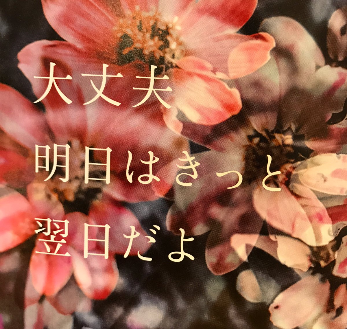 ヴィレッジヴァンガード下北沢 Twitterren 当たり前ポエム 入荷してます Twitterで話題になった当たり前ポエム ついに書籍化しちゃった 素敵な言葉 と思いきや 当たり前の言葉をただただ並べたポエム集 じわじわにんまり そんな1冊です