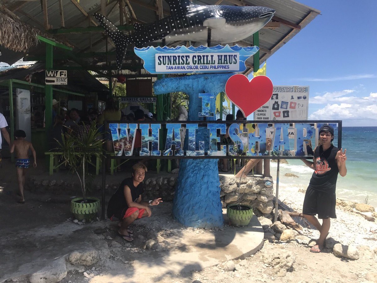 ponkotsuss's tweet photo. I swum with whaleshark in Oslob.
I will go back to Japan 2 weeks latter.
#whaleshark #Philippines #sunban #dark #skin #Oslob #enjoyed https://t.co/xg5l0xvyl7