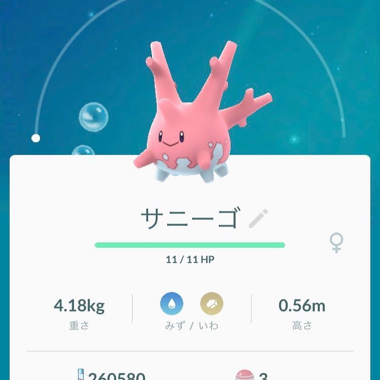 つっき Auf Twitter ハワイ来て2日目 ポケモンgo サニーゴ捕まえた 赤道付近にしか出ないポケモンだけど北緯21度のホノルルではあちこちで湧いている 日本では沖縄と鹿児島の種子島以南て小笠原にしか出ない ポケモンgo Pokemon T Co つっき Auf Twitter ハワイ来て2日目 ポケモンgo サニーゴ捕まえた 赤道付近にしか出ないポケモンだけど北緯21度のホノルルではあちこちで湧いている 日本では沖縄と鹿児島の種子島以南て小笠原にしか出ない ポケモンgo Pokemon T Co