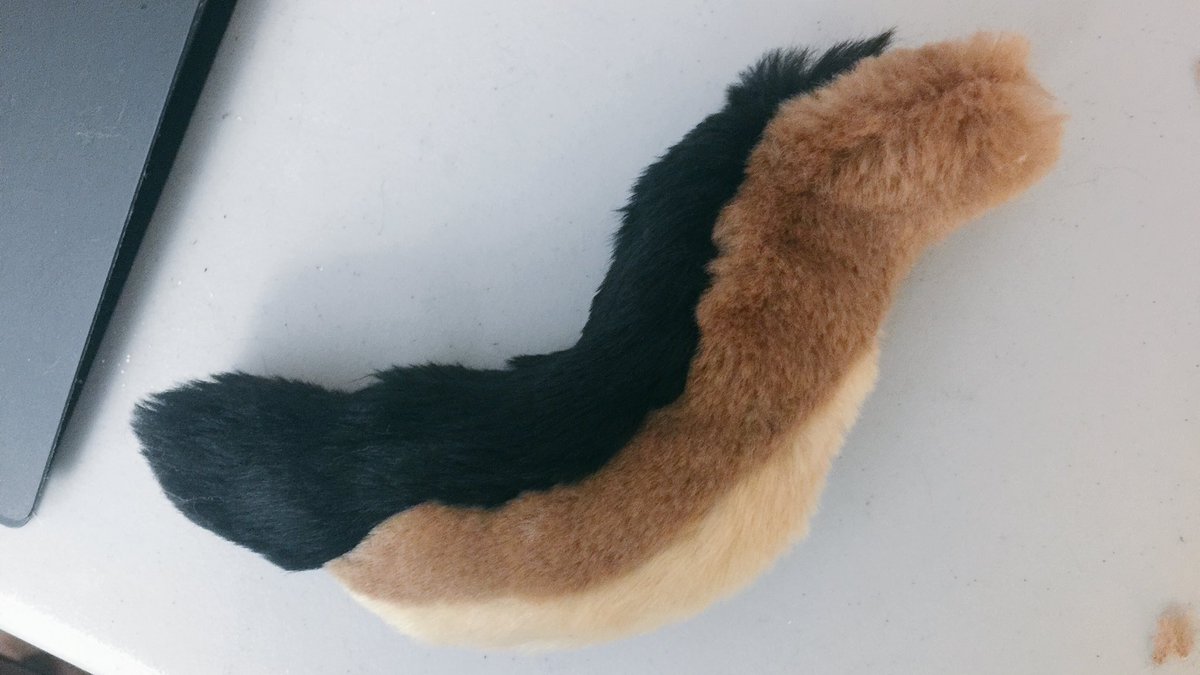 FursuitDoctor's tweet photo. A mahogany Belgian Malinois tail for a coworker! https://t.co/QYBrWjHF4v