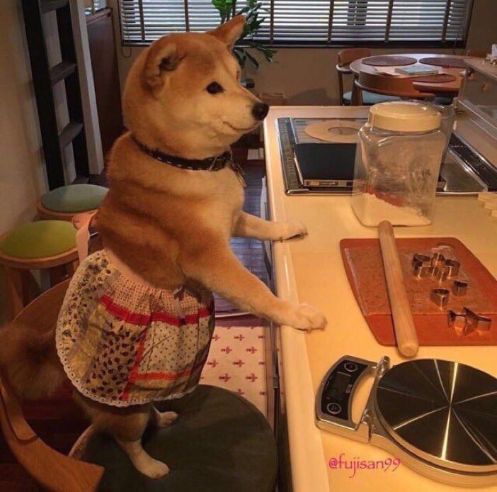 JODYHiGHROLLER's tweet photo. MEET DEBRA, WHEN HER OWNERS GO OUT OF TOWN SHE BAKES COOKiES AND SELLS THEM TO ALL THE DOGS iN THE NEiGHBORHOOD ... EVERY SiNGLE DOG https://t.co/ShKLLw19WF