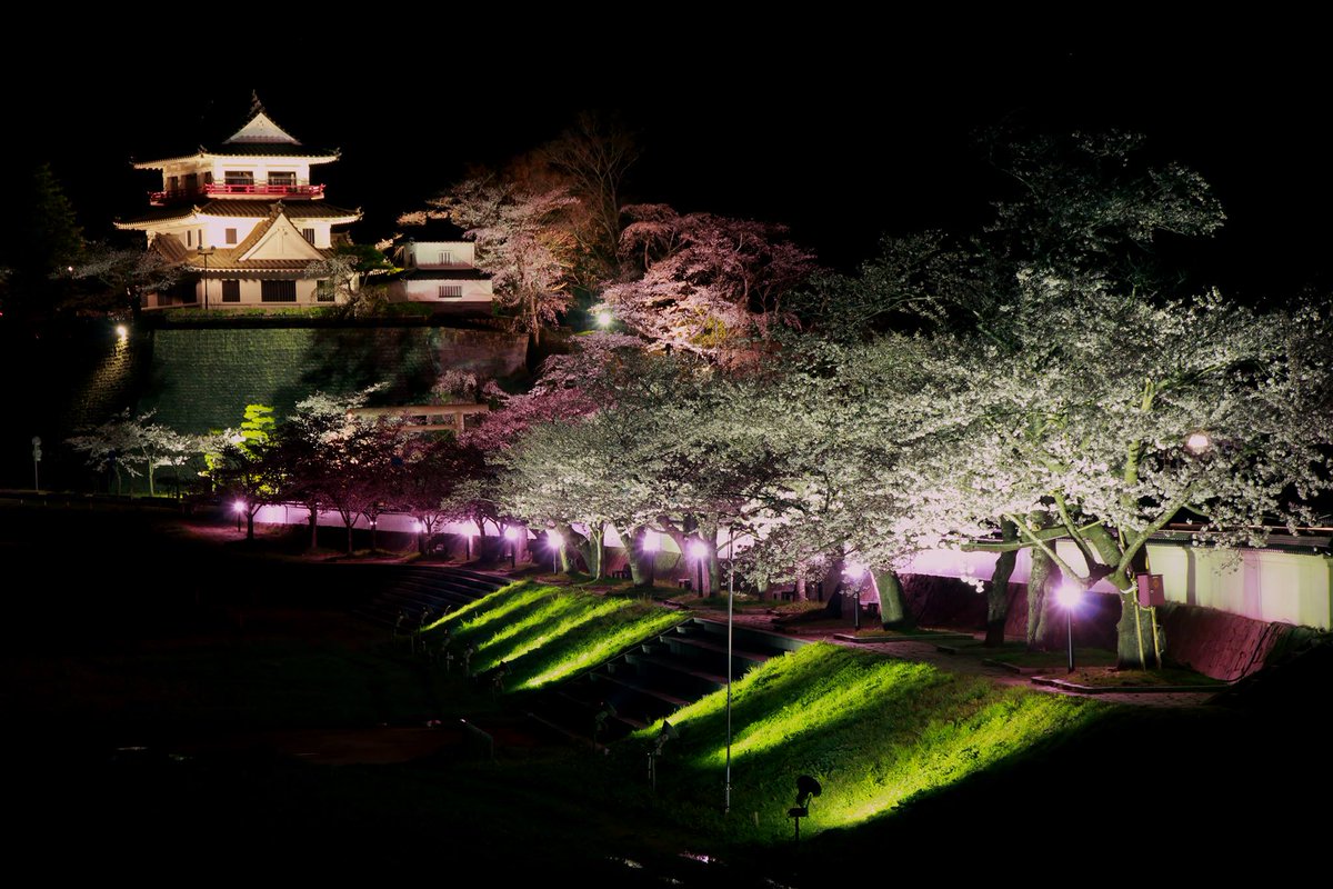 涌谷町情報局 ワルプルギス は夜に限りますね さて夜といえばこの時期夜桜 モンスト片手にパワースポット城山公園へgo 屋台も出てるよ でも 歩きスマホはダメだよ 涌谷 桜まつり 夜桜 城山公園 ワルプルギス モンスト
