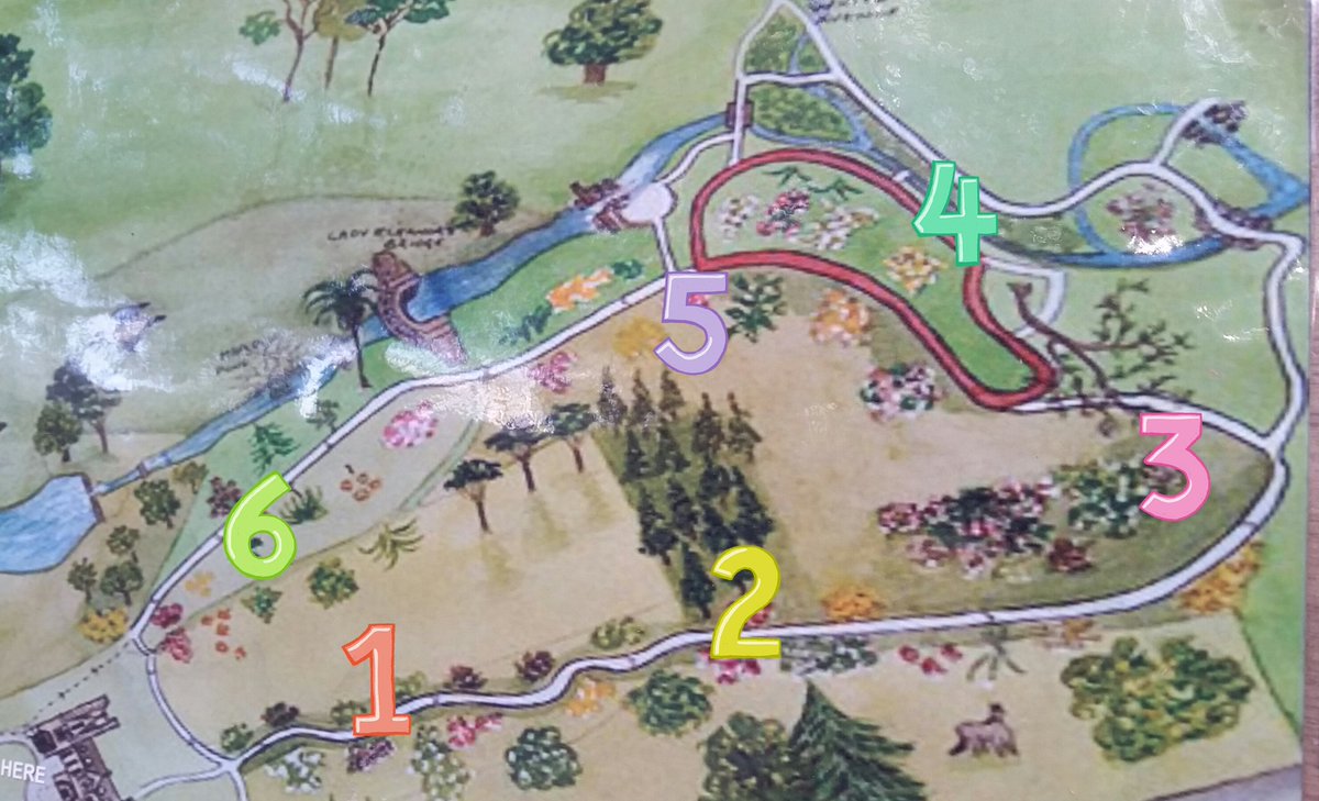 6 Minterne Garden plants to find, this #easterweekend #Easter #bankholiday #BankHolidayWeekend pick up a info sheet at the entrance