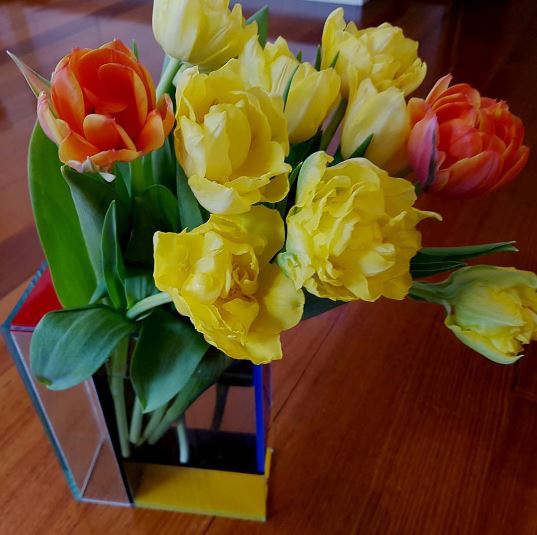 TNB TULIPS tweet media