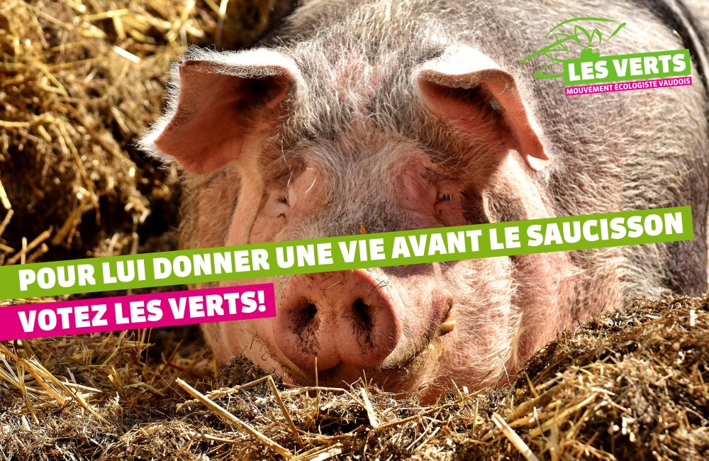 XavierDurussel's tweet photo. Oui à une agriculture locale, familiale et paysanne !
#ProgrammeDesVerts #ConsommezLocal #VD2017 https://t.co/I0Zlh5hk42