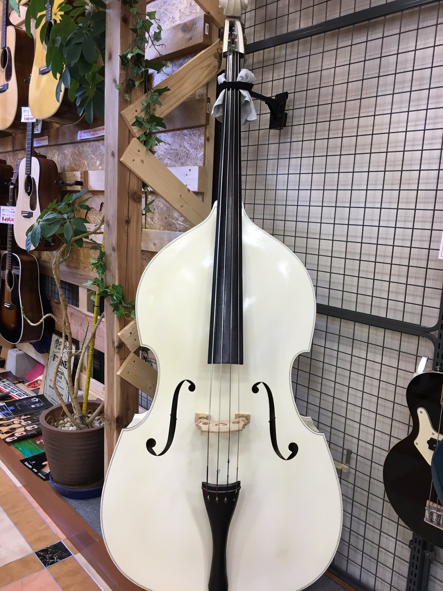 コントラバス弦 パーペチュアル セット 中古 コントラバス弦