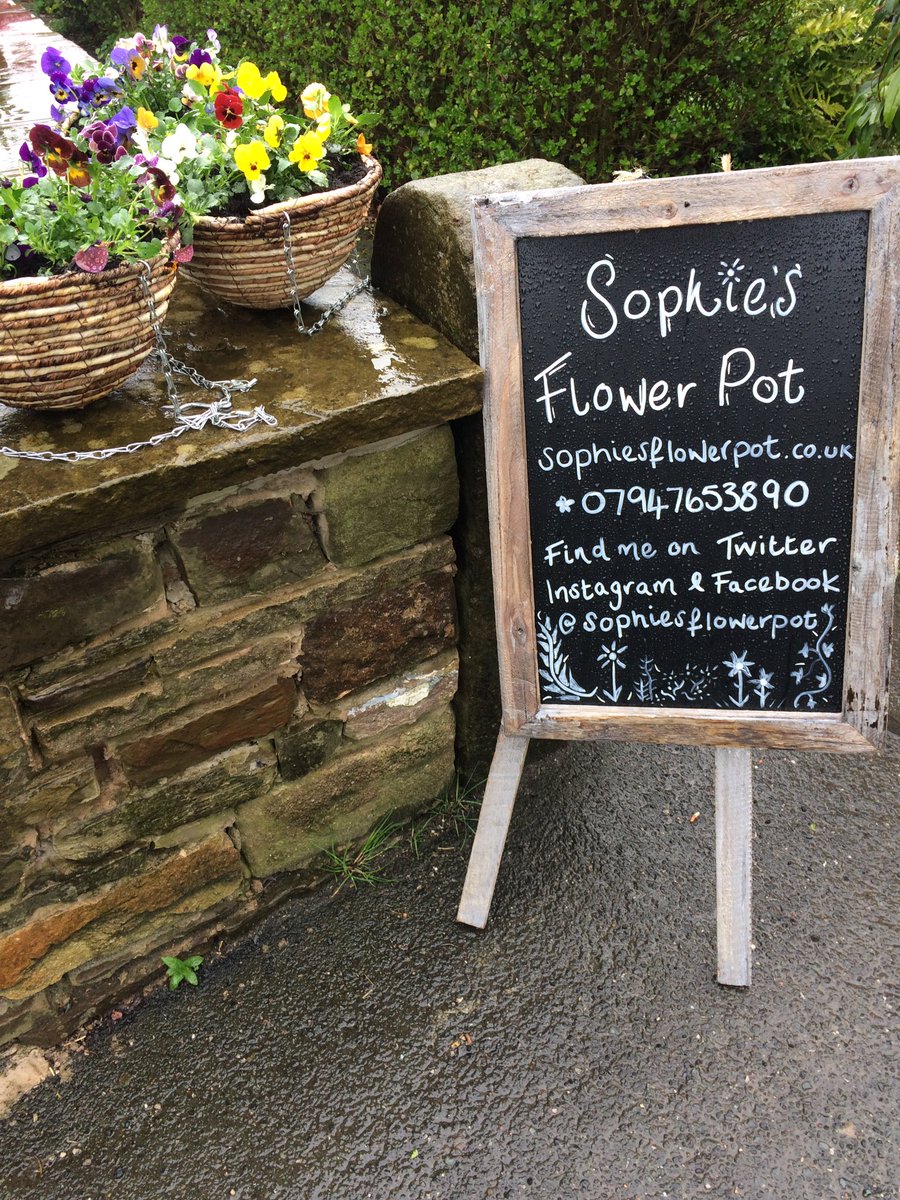 Viola hanging baskets £10 and window boxes £20 ready now. Local delivery available 😍🌺