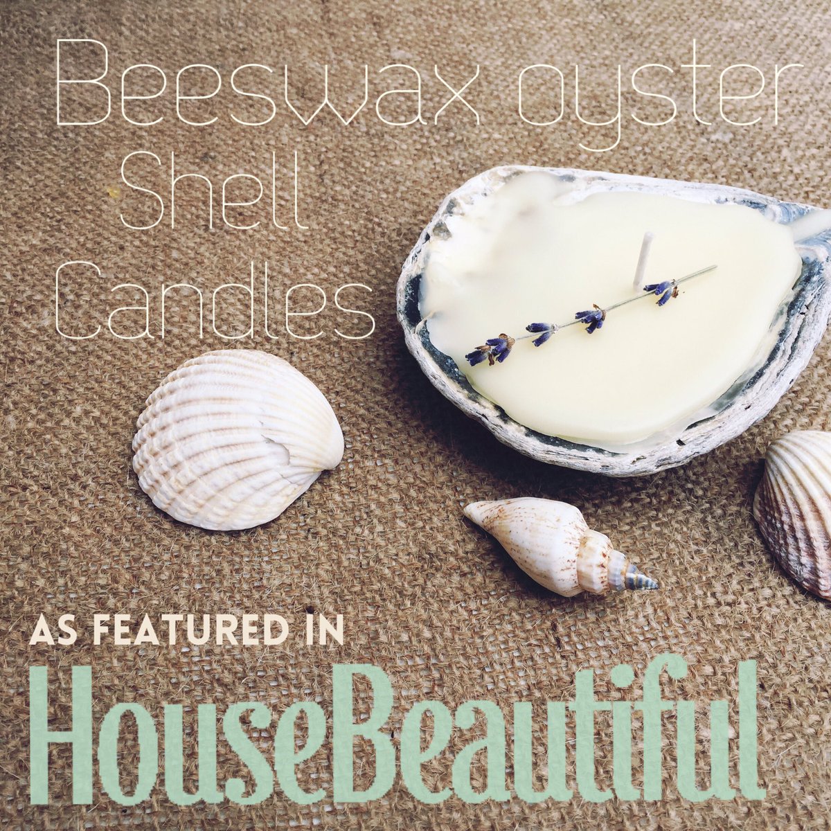 joesaphina's tweet photo. #handmade #beeswax #oystershell #candles as seen in @HouseBeautiful available in #lavender, #orange oils &amp; #natural🐚
https://t.co/rTeCVpnDRl https://t.co/iMxI73JuoA