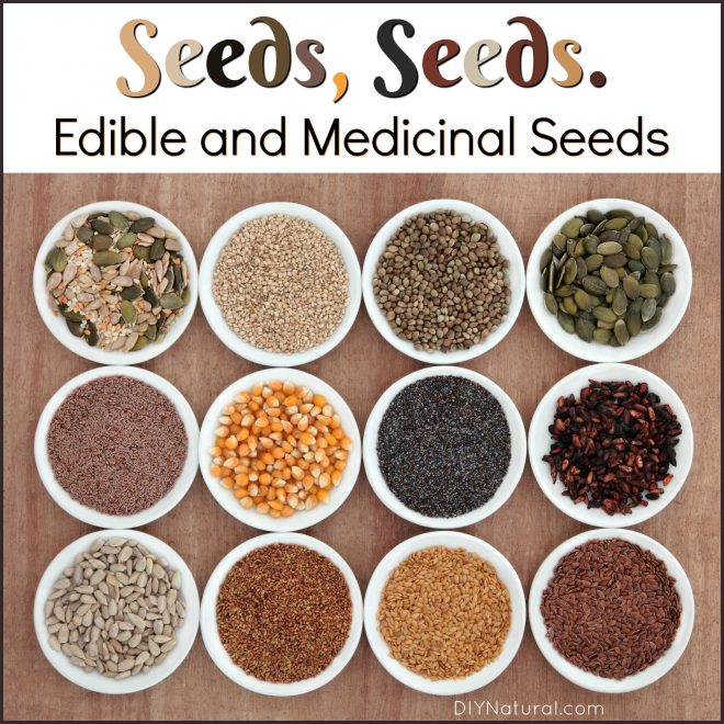 AltMedBlogs's tweet photo. #Edible and Medicinal #Seeds? 10 Seeds You Can and Should Eat https://t.co/BDiJeqxdm5 https://t.co/I7tA7hdXuH