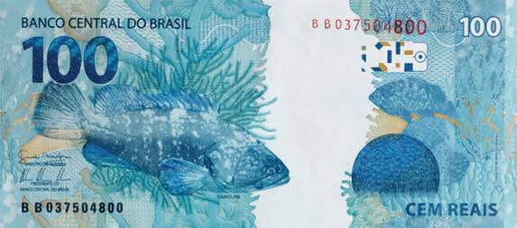 frasesdegays's tweet photo. o peixe que eu queria hoje https://t.co/oGXp52zmgz