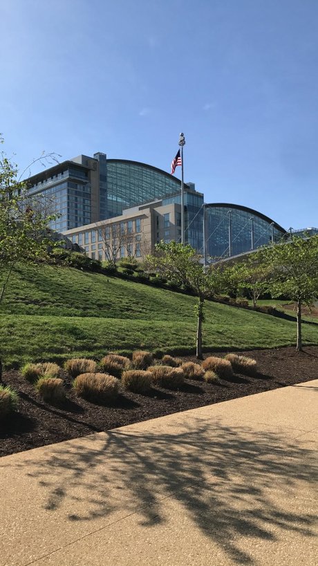 smithcollegessw's tweet photo. Looking forward to another beautiful day at #NABSW. #socialwork #SmithSSW https://t.co/qA9hePqY6J