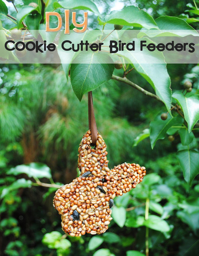 A classic #KidsCraft project to do this weekend, "#DIY Cookie Cutter #BirdFeeders"! Make #Easter shapes. ow.ly/b79a30aQ5rq #weeshare